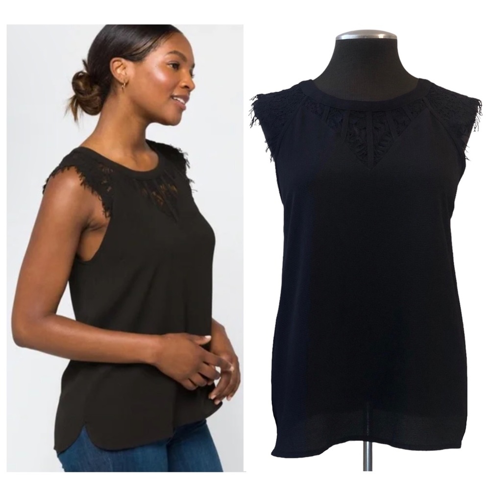 41 Hawthorn - Jarred Lace Cap Sleeve Top - Petite Small - Stitch Fix - NWT